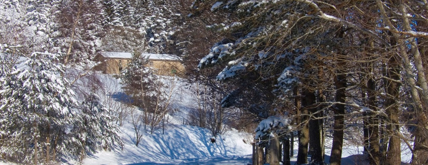station de ski Chalmazel dans la Loire
